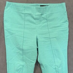 Nina Leonard XL Mint Green Stretch Pants Control Top Work Casual Plus Size